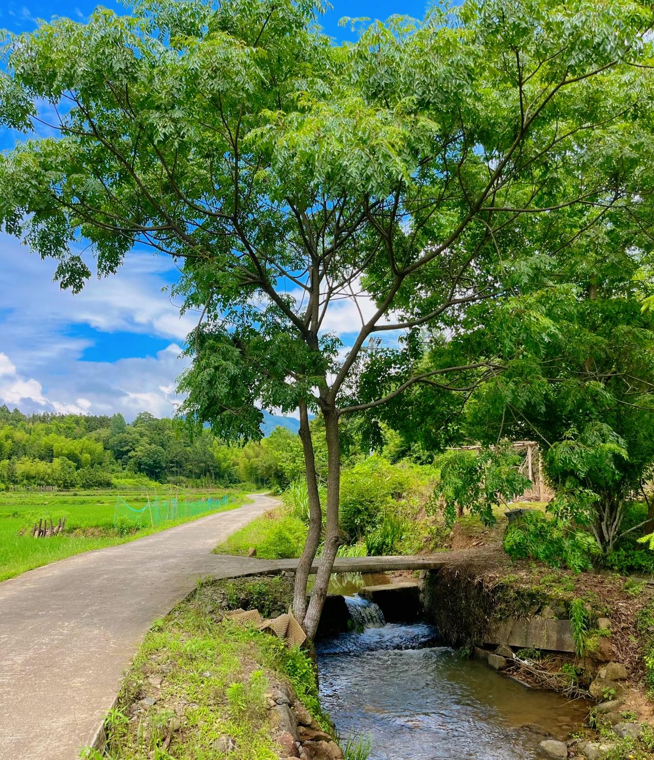 男人能让女人死心塌地的从不是钱和脸，男人越强势，女人才会越爱。你要肉体上征服她，