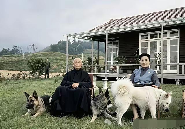 不可否认蒋介石的晚年生活还是很惬意和美好的当年国民党失败后，蒋介石逃到台湾…