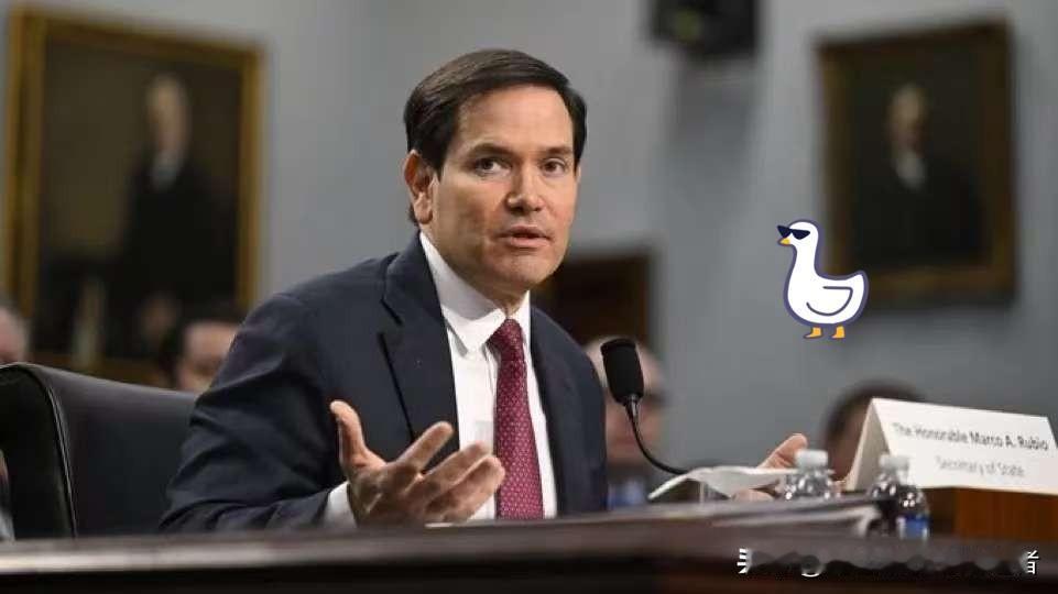 热议美国特朗普最新通报！特朗普抛出的俄乌和平28项计划彻底引爆美国舆论！明