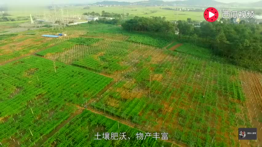 贵港木格镇人口_广西贵港木格镇花灯(2)