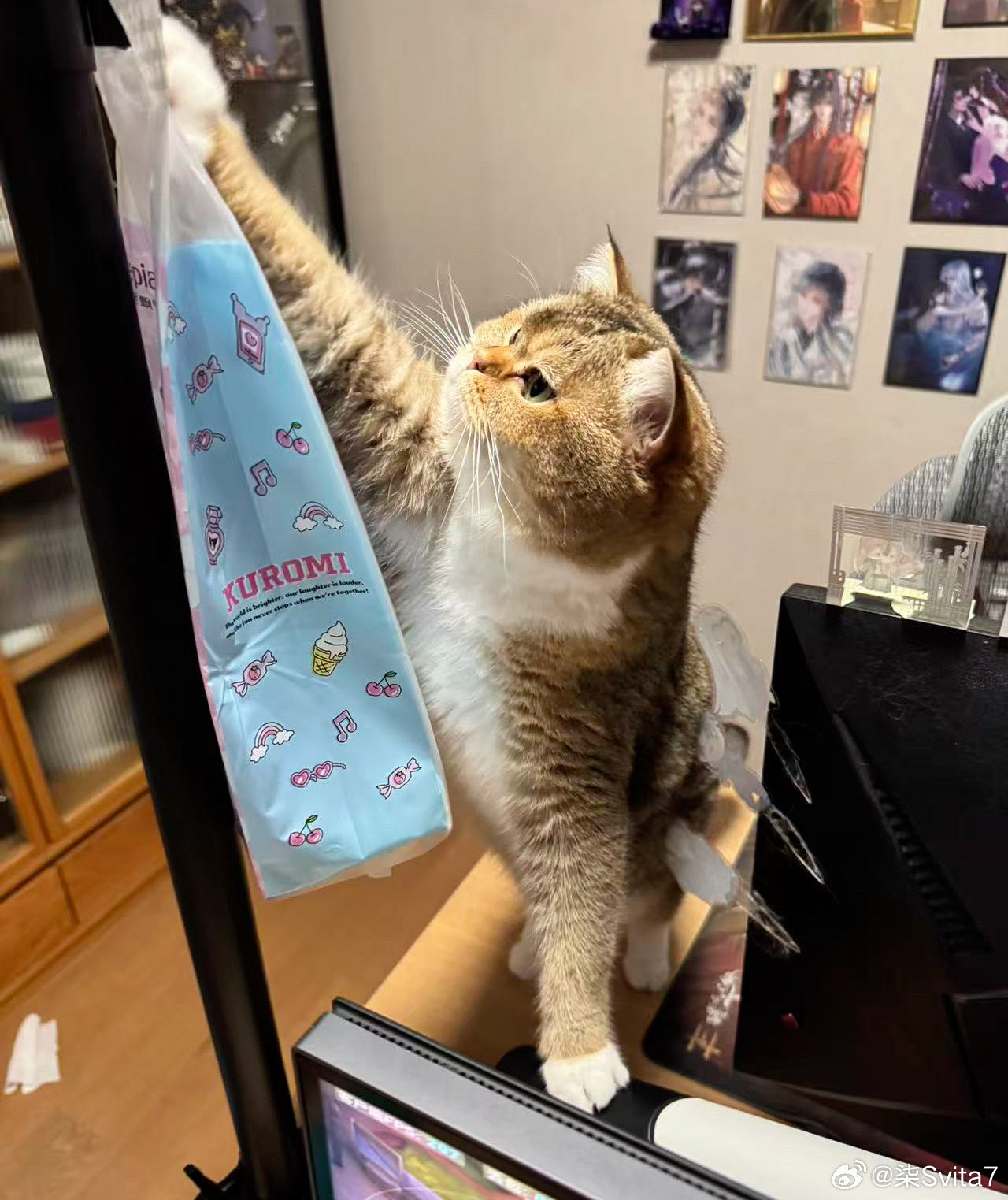 完全小瘦猫​​​