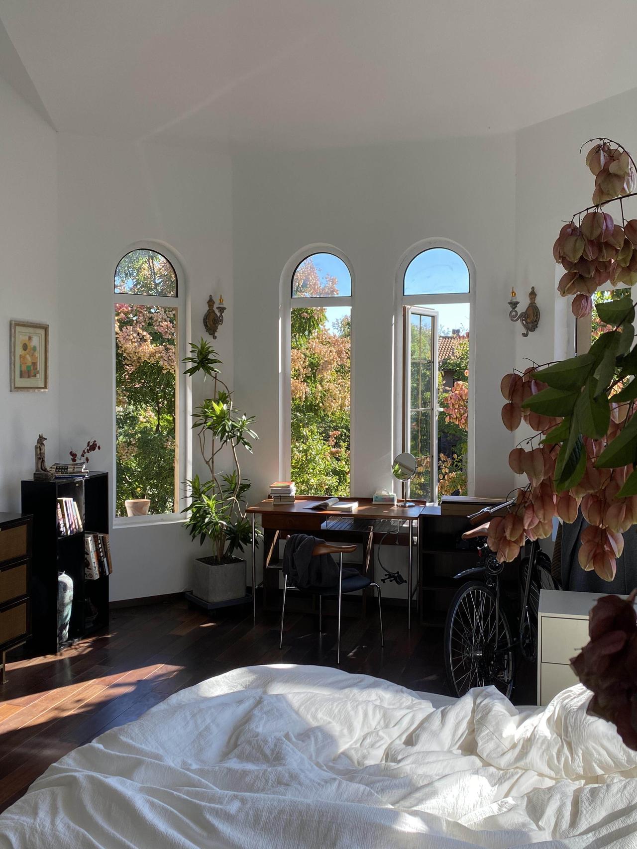 一个人、五只猫，住进郊区的梦中情房，杭州一女生晒出入住一年的新家，每天过得轻松自