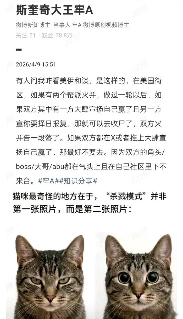 桂哥评：懂牢A说的啥意思不？===牢A：有人问我咋看美伊和谈，是这样的，在美国街