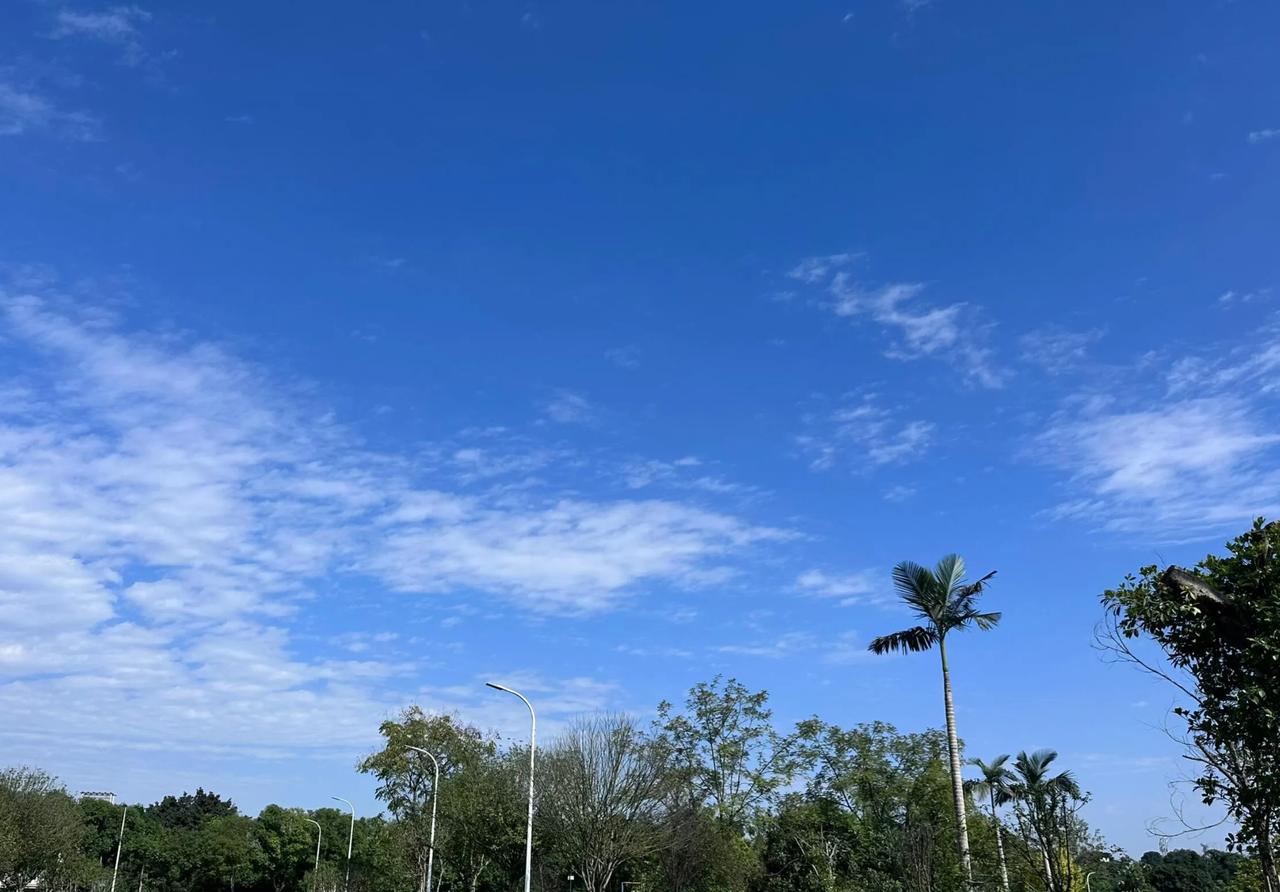 感觉我真的比不了别人那么能干，怀孕五个多月了，上班真的好累，平时早起通勤一个半小