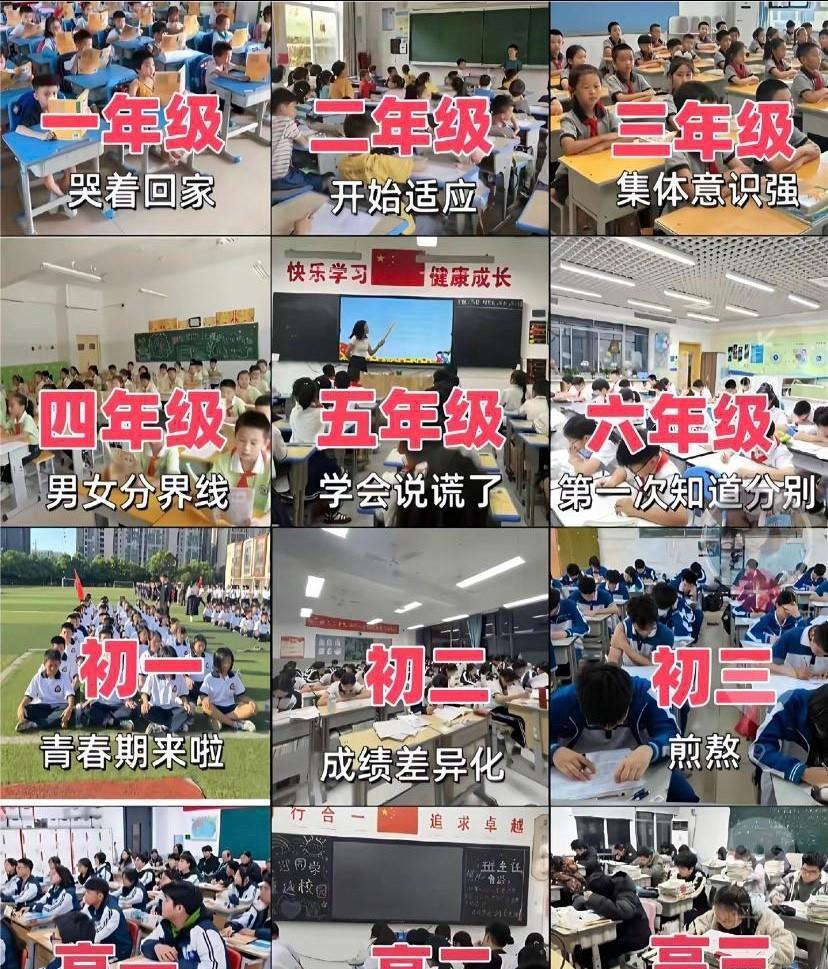 看看你家的娃修炼到哪个阶段了～
