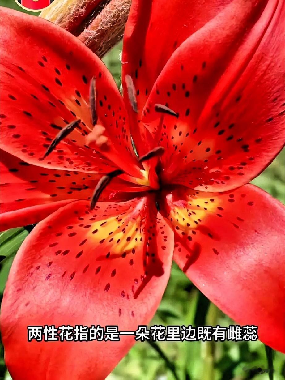 人这一辈子，千万别为了片刻的痛快，搭上自己的性命。成年人，一定要懂得节制夫妻生