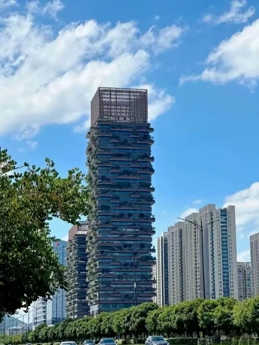 医院外资狼来了，外资医院进入南京，成为第一家外商独资的综合性三甲医院。近日，