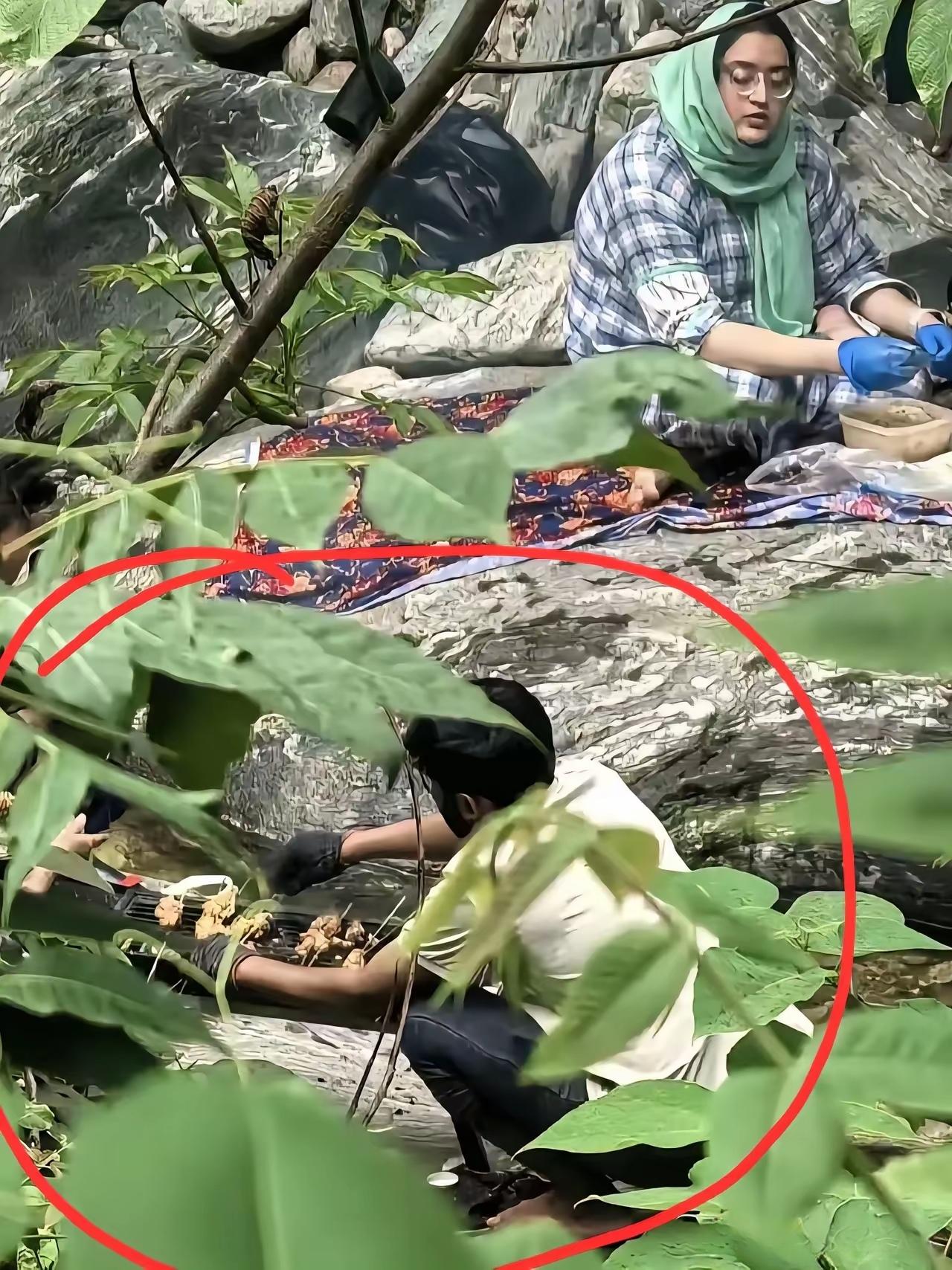 看到网友爆料一群阿三在秦岭大山里搞起了烧烤，震惊之余不禁要问：谁放进来的，谁能不