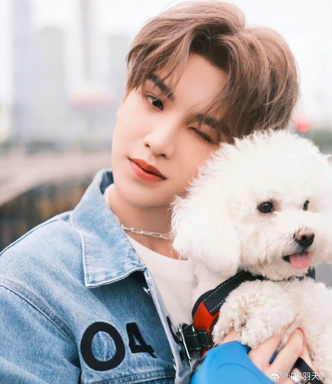 1、辛芷蕾电影票房不理想，辛芷蕾的《日挂中天》虽然拿到了奖，只是全票通过，但是上