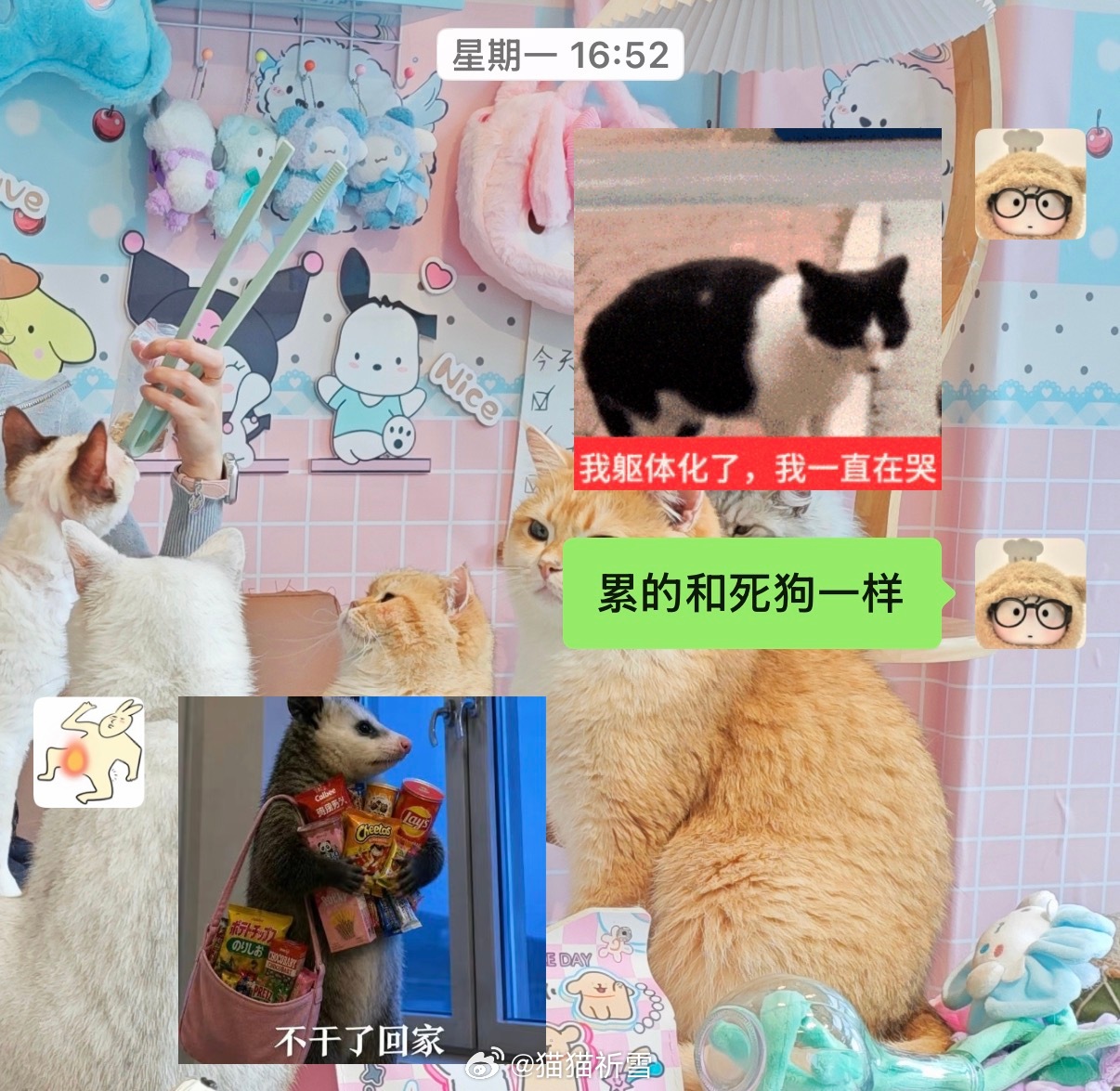 只要一和汤汁说我上班好累，他就发这张图人就是欠，有工作和没工作都难受