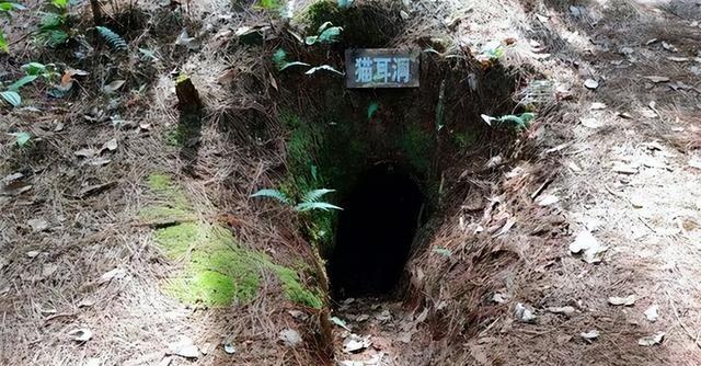 中越战争，他独自在猫耳洞坚守一年，回来后上级认不出：你是谁？杨启良那是1983