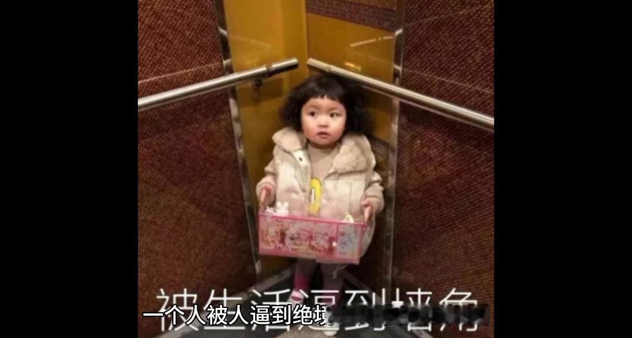 这事不是靠喊出来的，是慢慢攒出来的。清华校方2023年自己公开的实验记录说，全