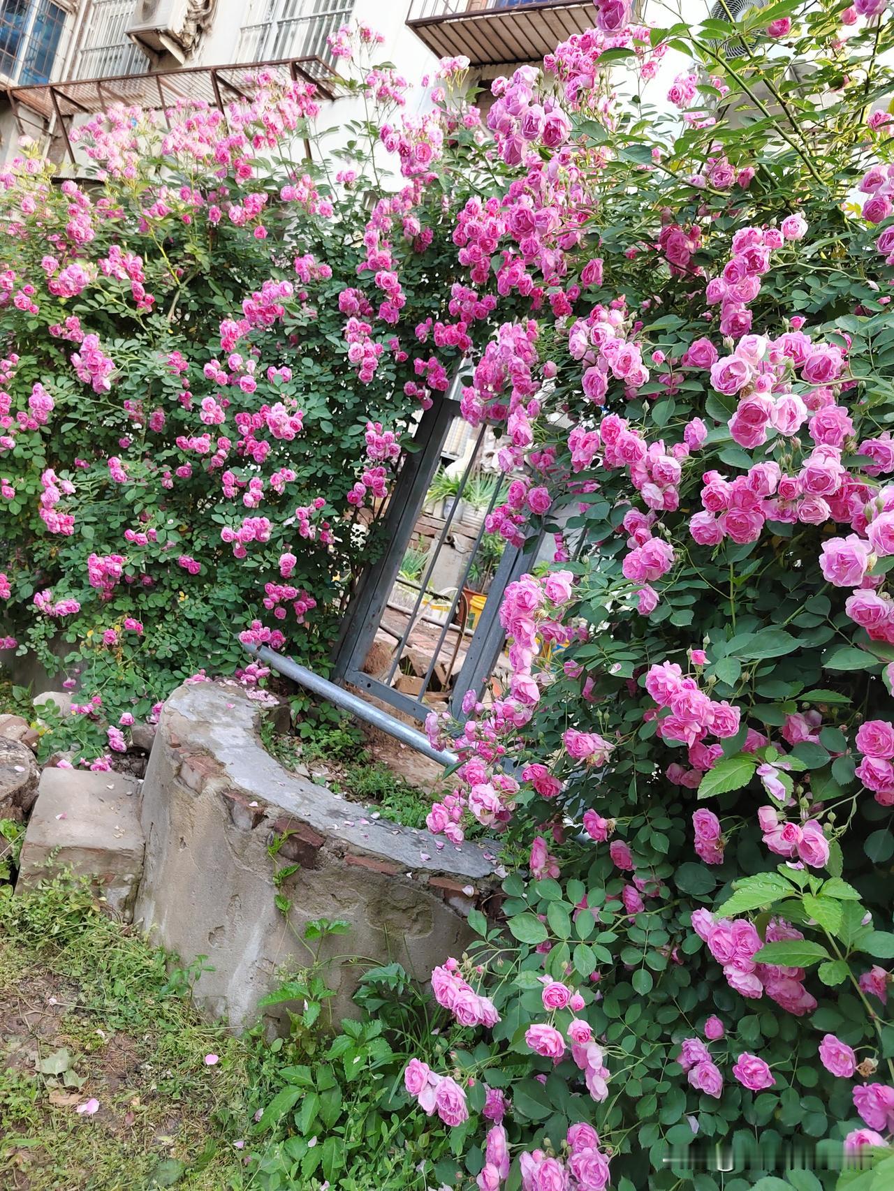 你要跟我比，退休金一个月2600，那是我的天花板！我这个人，上学的时候不努力，