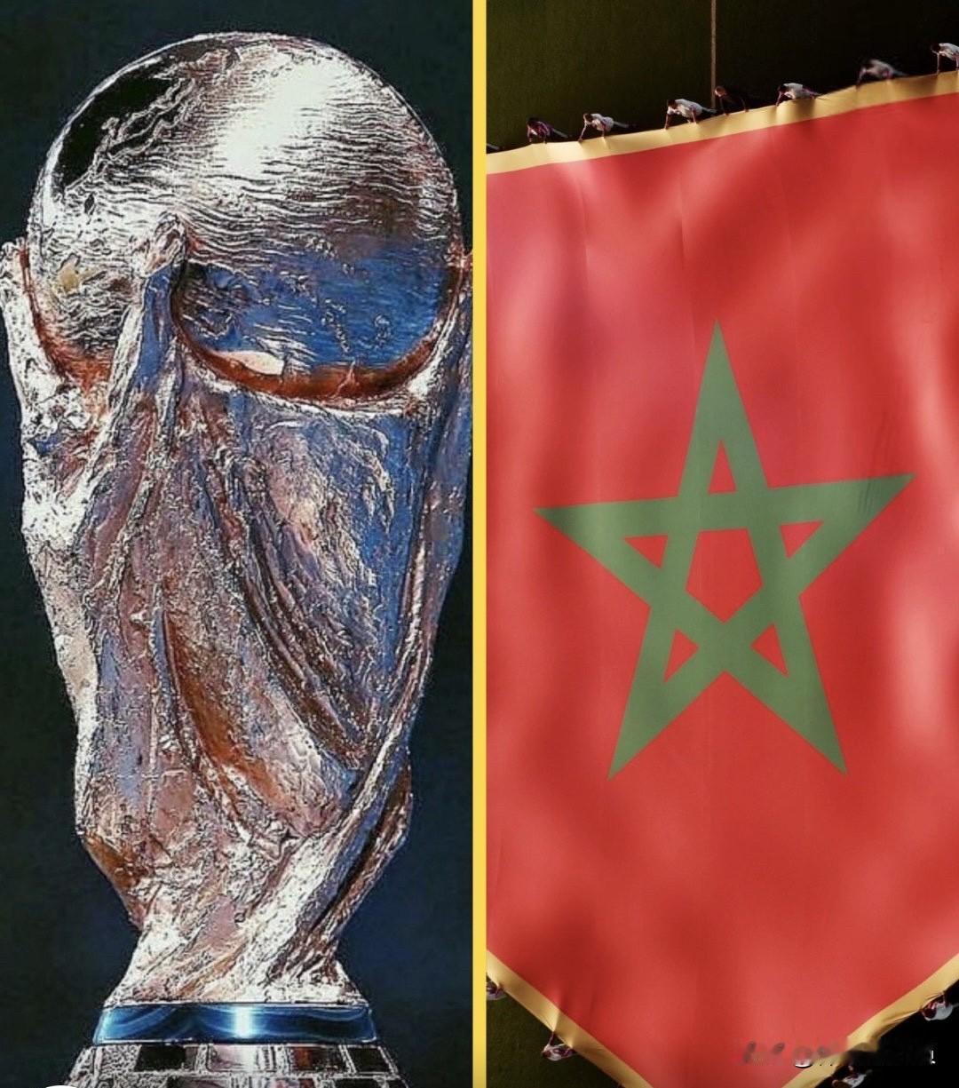 摩洛哥太残忍了，他们竟然对流浪狗进行单方面屠杀！在摩洛哥，一场“猎杀流浪狗”