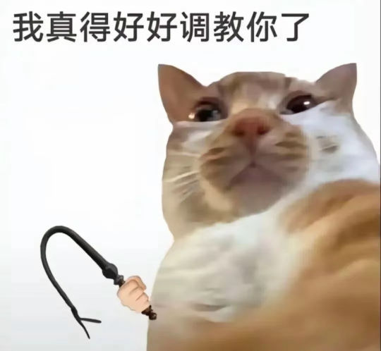 今日聊天必备表情包表情包​​​