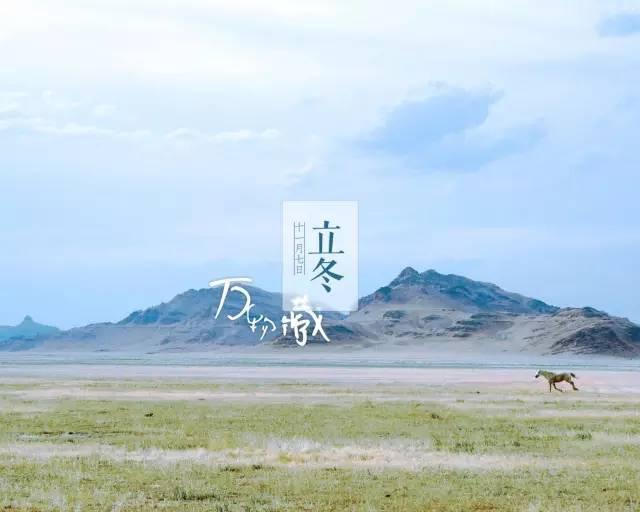 立冬, 我们到底该吃些什么?