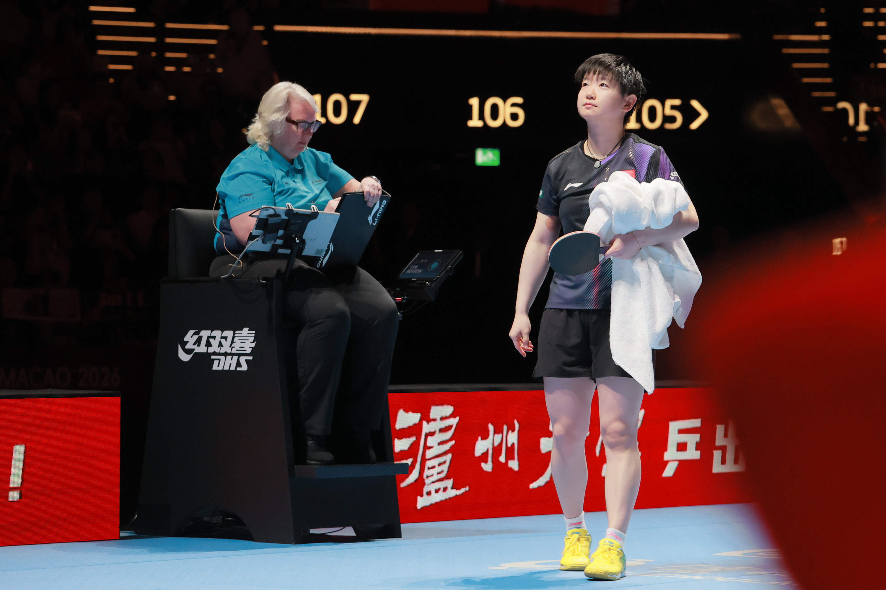 我以春天问候你祝福你