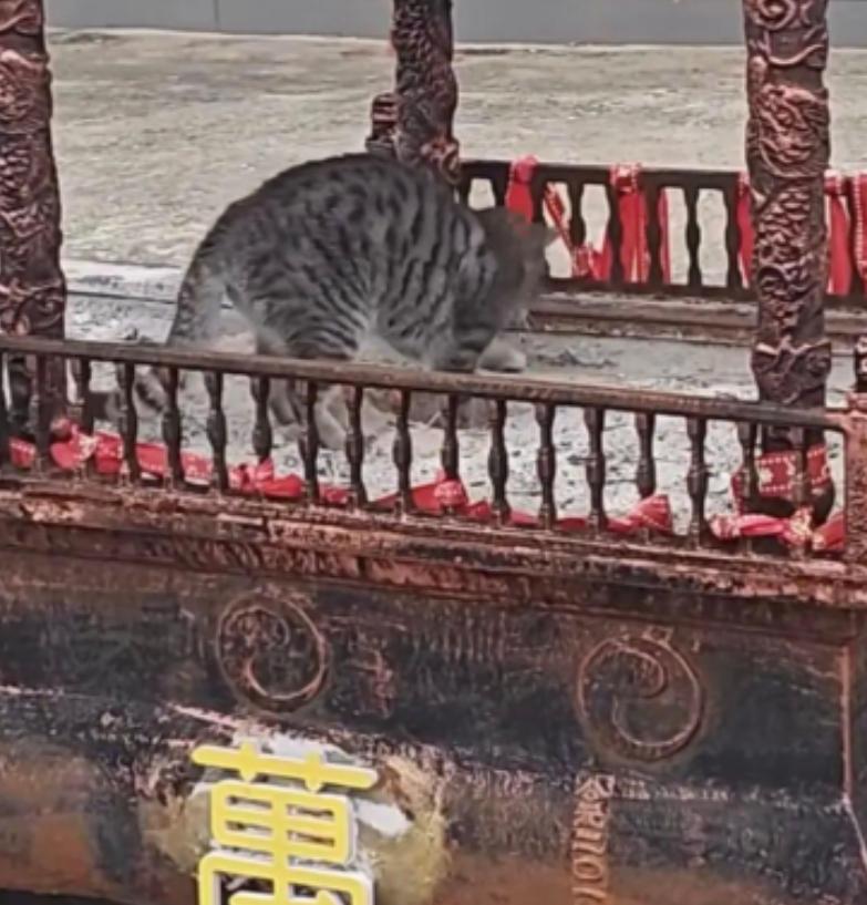 福建两男子去寺庙偷东西，不偷金佛也不偷功德箱，专门扒寺庙里的灰，3个月扒了446