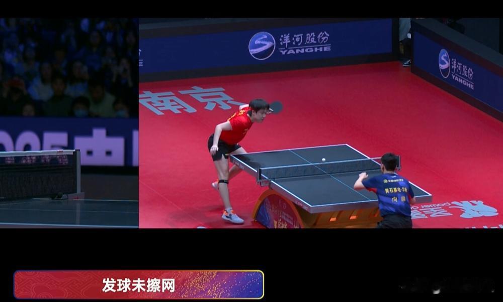 天呐！向鹏顶住大头那几板子暴扣的表现，看得我眼珠子都要掉下来了！谁不知道王楚