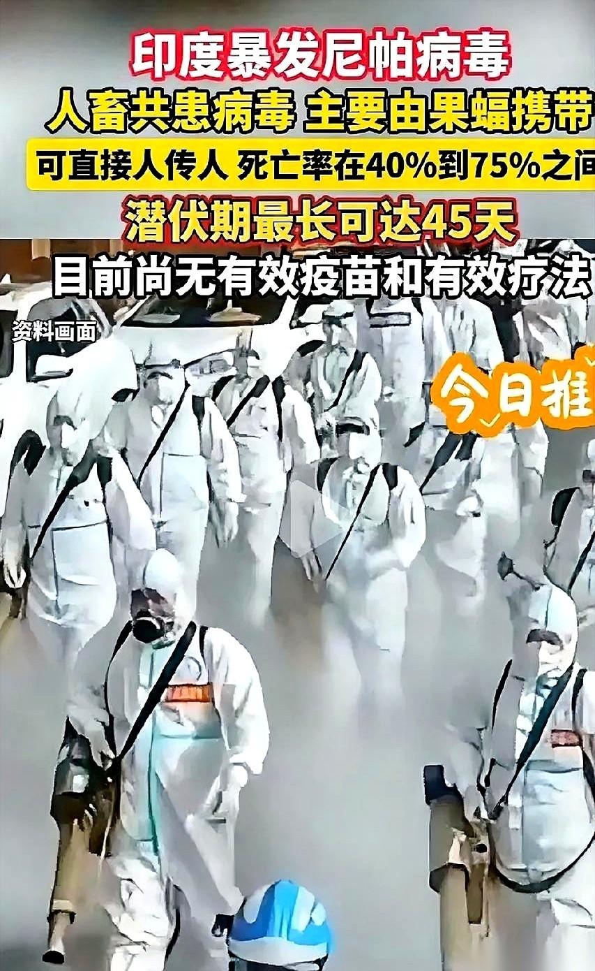 印度那个尼帕病毒的消息，突然就冒了出来，据说致死率高得吓人。关键是，节点太巧了