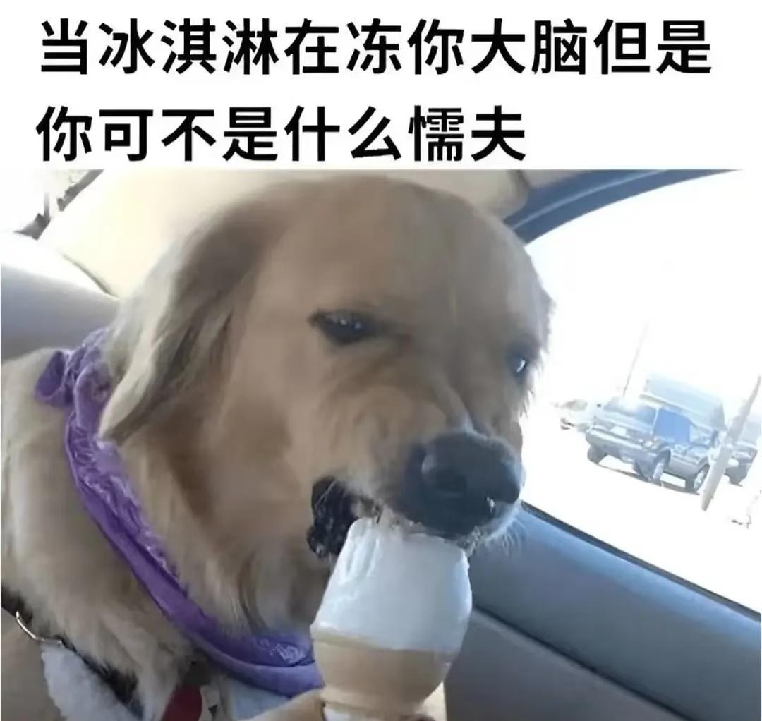 梗图什么的太好笑了​​​