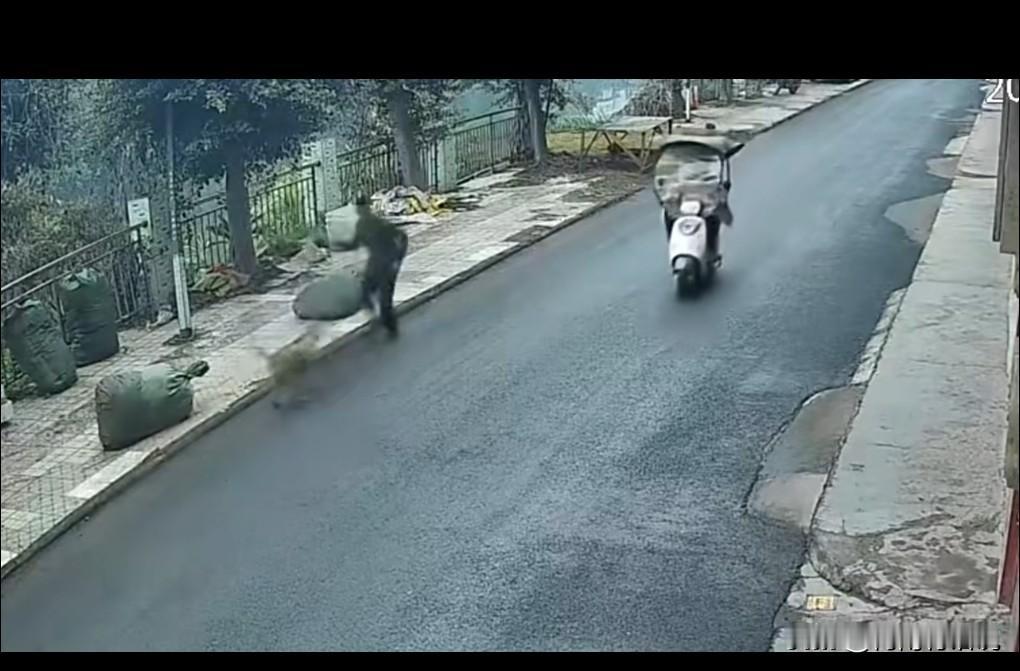 我建议遇到未拴绳咬人的狗，直接乱棍打死，行使自卫权，不用给狗主人面子。近日，