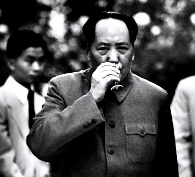 1966年，绝色美女杀手李莎接到一个任务，刺杀毛主席，她千里迢迢来到中国，没想到