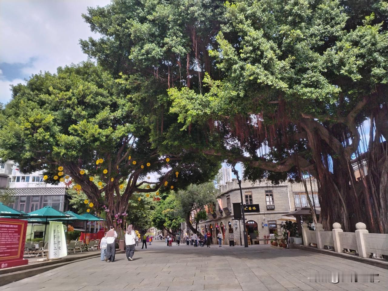 当上了教师有能力的当然有必要再去考公务员，当然考上希望不大的人，就没有必要再去考