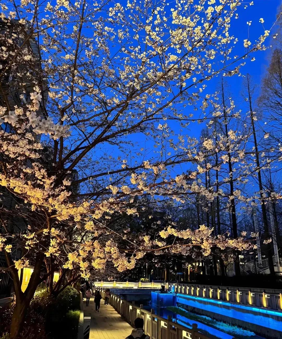 摩羯太阳+上升这周像突然开了挂。周一水星三分天王，脑子转得比电脑快，同事还在纠