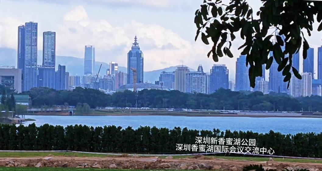 这是深圳香蜜湖城市会客厅的最新进度，香蜜湖公园的草坪快铺完了，核心建筑香蜜湖国际