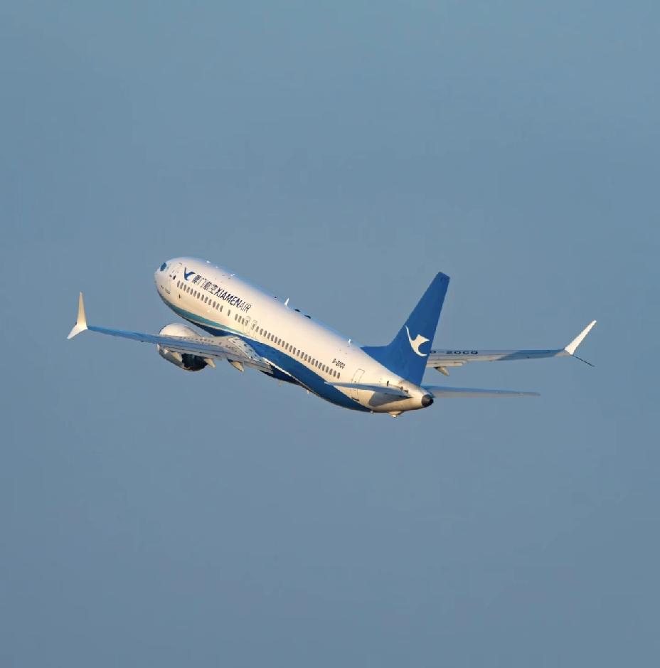 国内8家出名的航空公司排名：1. 厦门航空2. 四川航空3. 中国南方