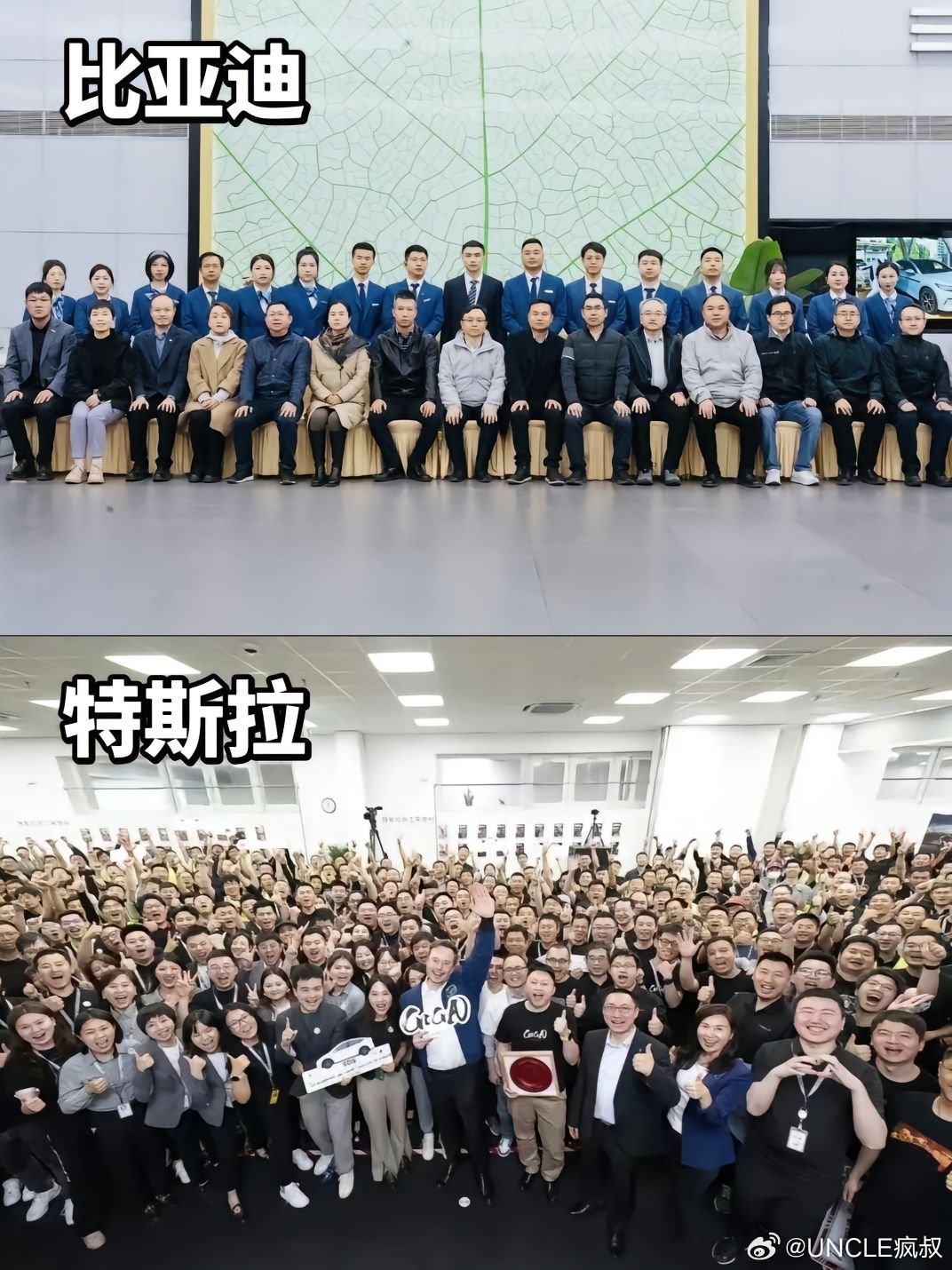 两种类型的企业文化，各位更喜欢哪种？👀