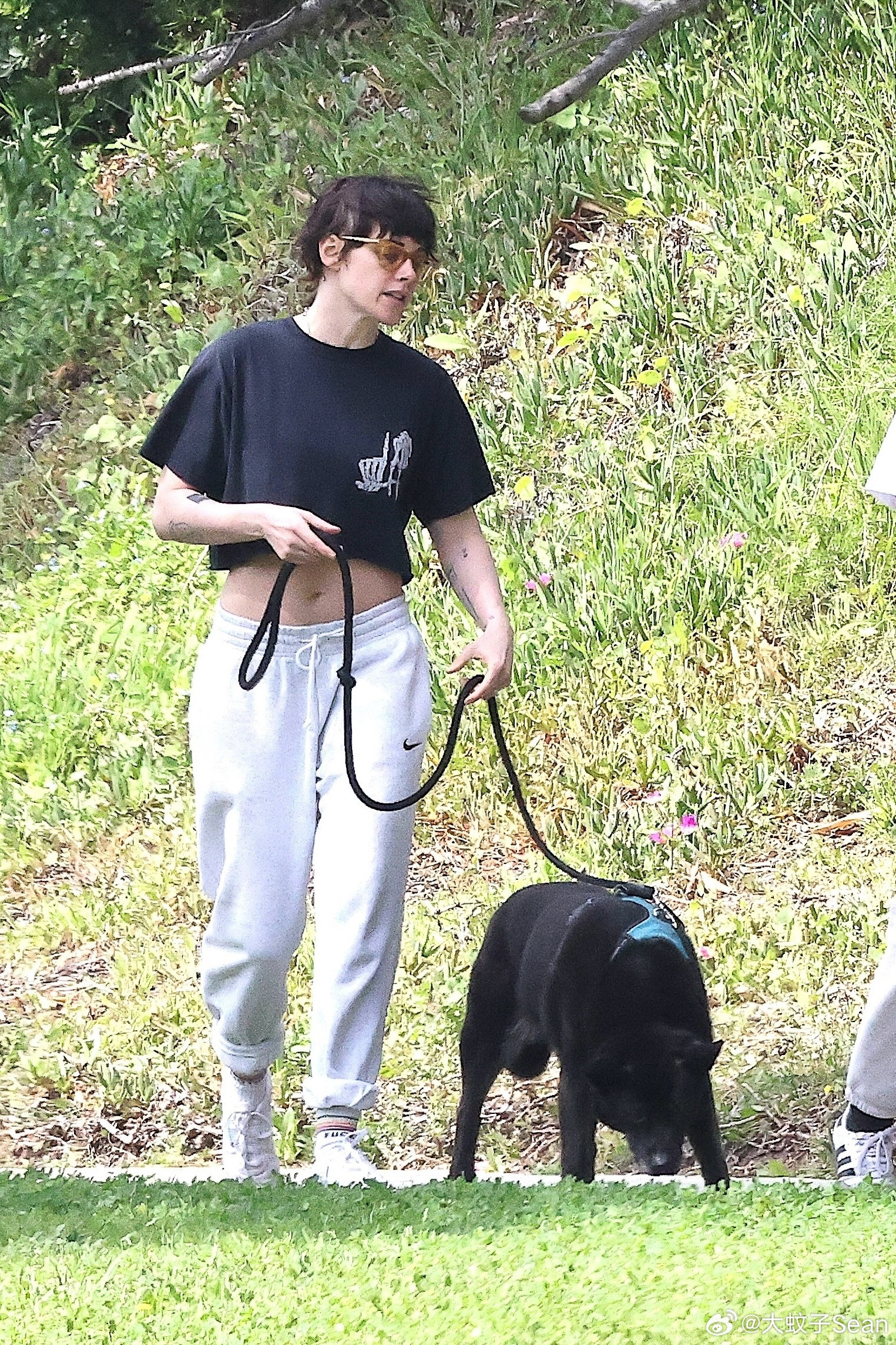 KristenStewart克里斯汀斯图尔特在洛杉矶外出，带着爱犬Chloe和
