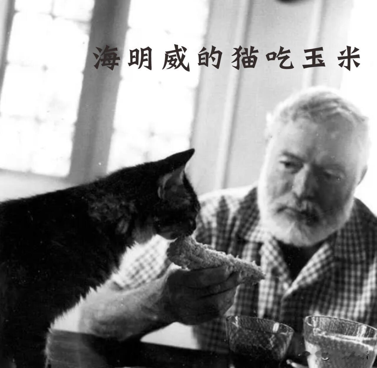 作家们的喵星人伙伴！文学界的名作家们，几乎人人都有一只猫。它们不只是宠物，