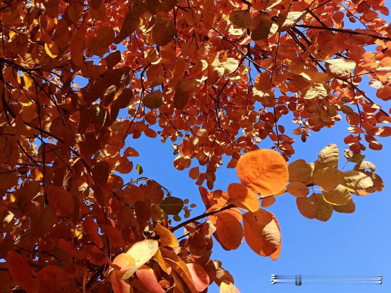 不得不说，人得信命。有时再多的努力，赶不上一次机会，一个政策。我们这里的学校评