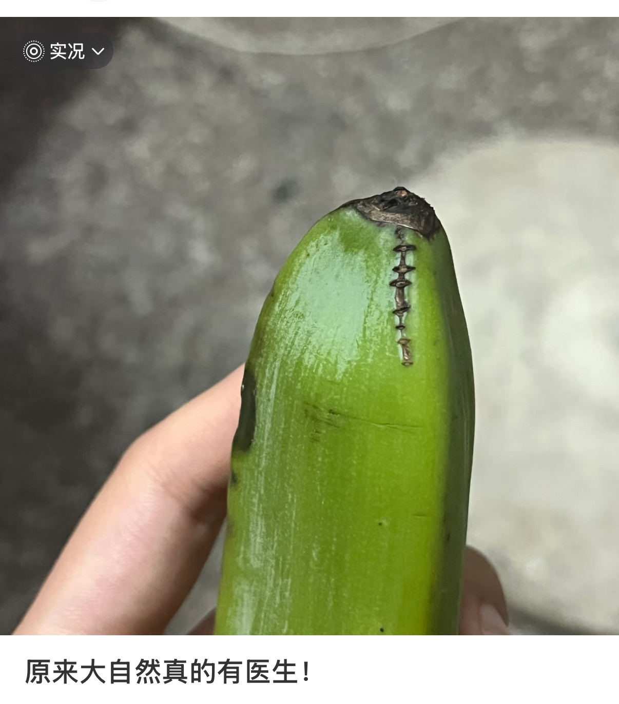 原来大自然真有医生啊