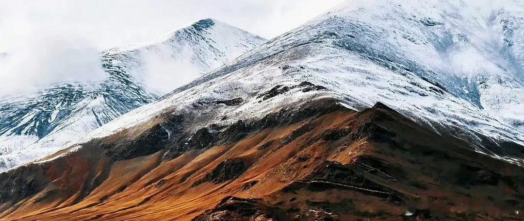 生命树把西北的野拍进骨子里看《生命树》特辑，高原暴风雪对决，紧张得大气不敢出，