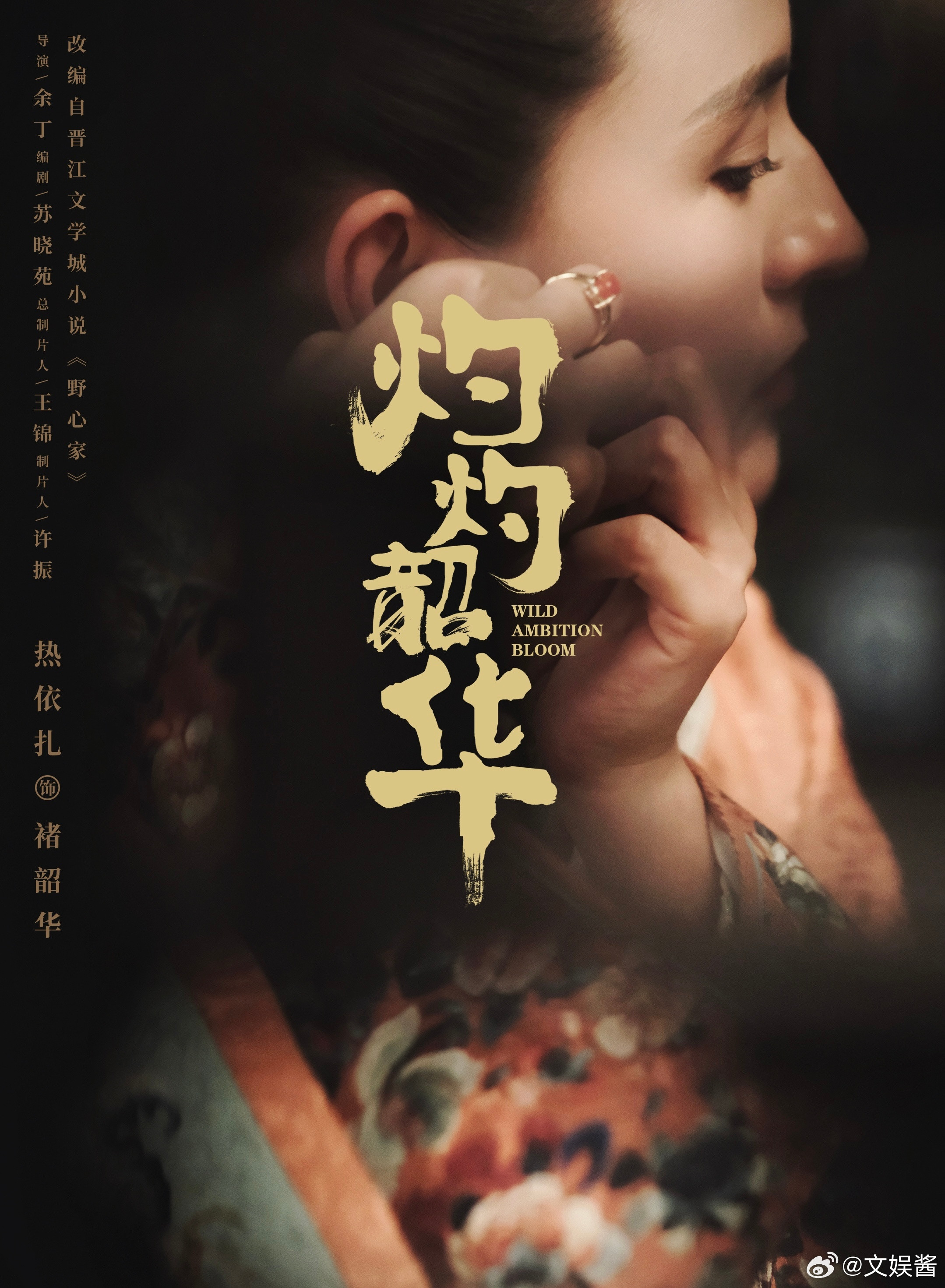 电视剧海报不再是一键复制粘贴了现在剧宣团队是开了什么审美外挂吗？！不敢相信这是内