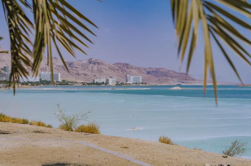 核心事实沙特牵头，阿塞拜疆、巴林、埃及、约旦、科威特、黎巴嫩、巴基斯坦、卡塔