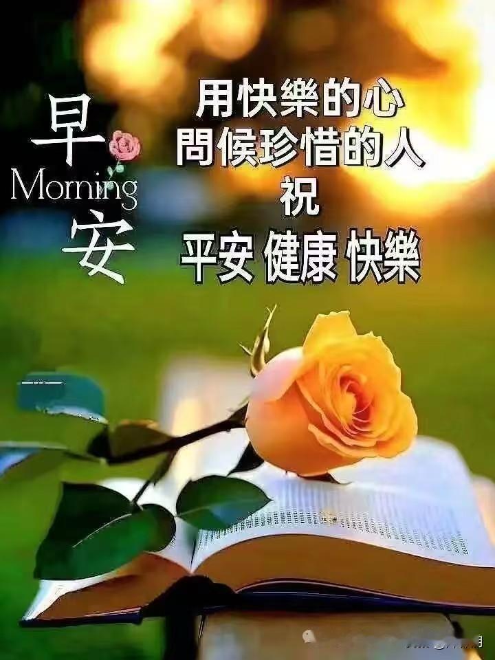 黄昏，晚风穿过梧桐叶。坐在门槛剥豆子，日子很轻，轻如檐角漏下的光。岁月藏在叶脉里