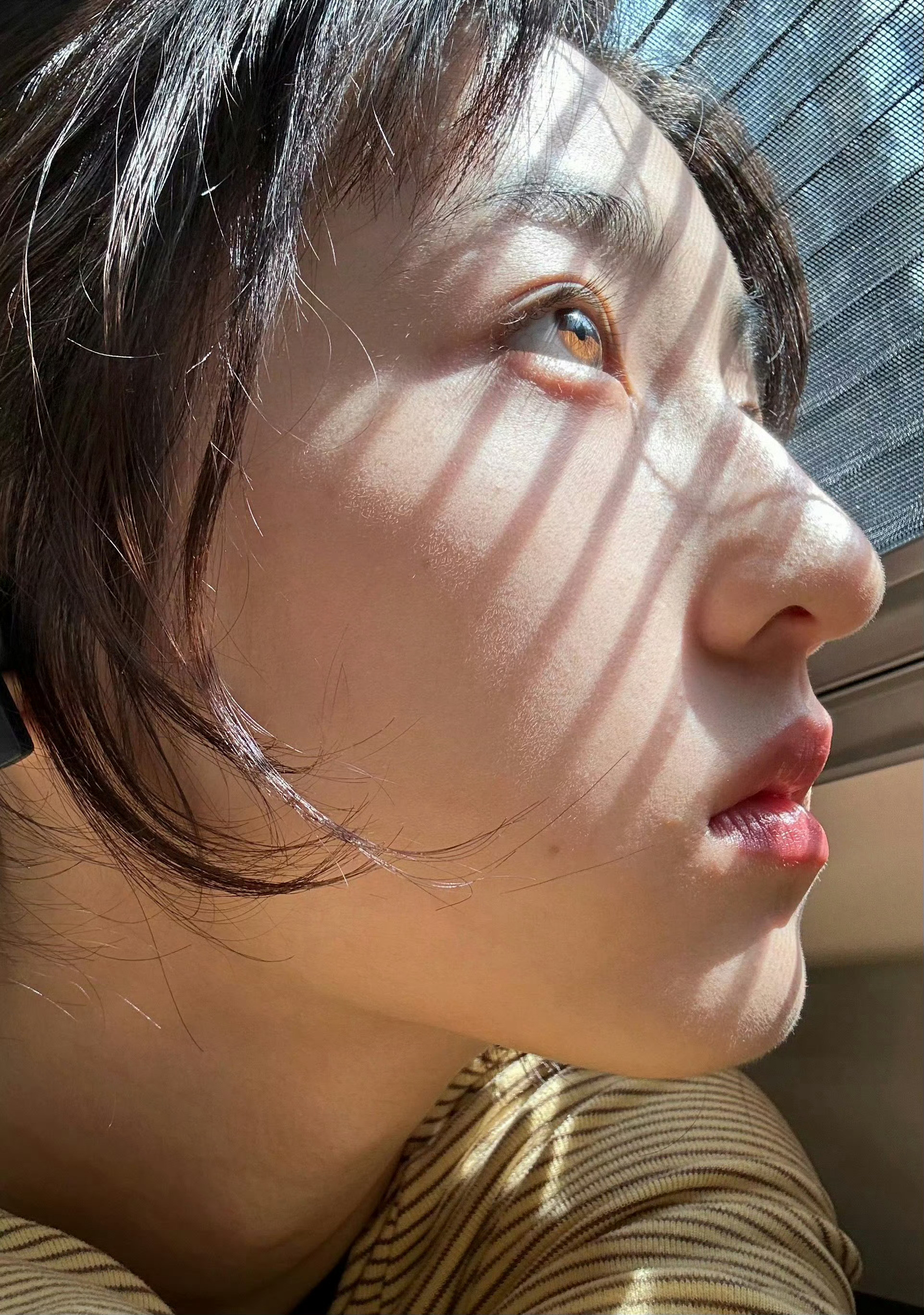 缓缓飘落的枫叶像思念我点燃烛火温暖岁末的冬天雪花已铺满地生怕窗外枫叶已结成冰