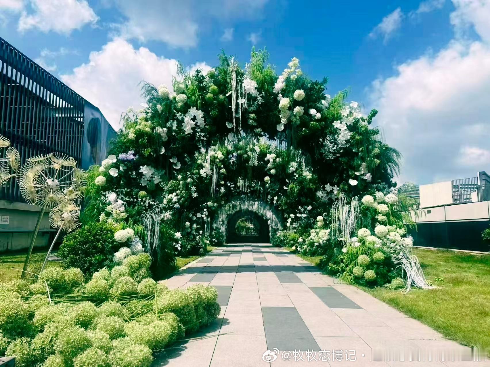 我们是这样分工明确的摩托姐姐只爱王一博💚王一博托姐公开秀恩爱