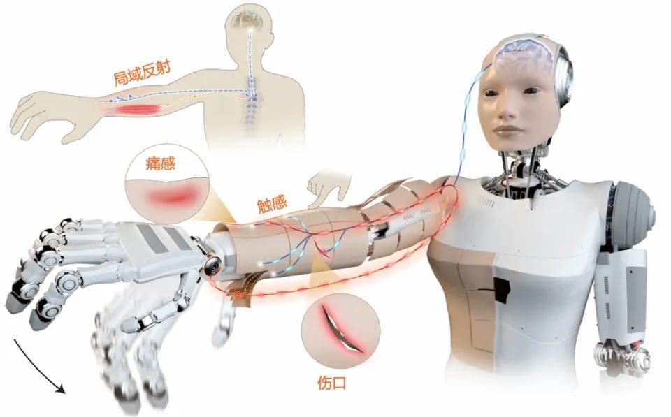 一觉醒来，1月3号凌晨4则消息震惊了科技界：1、DeepSeek又放大招！梁文