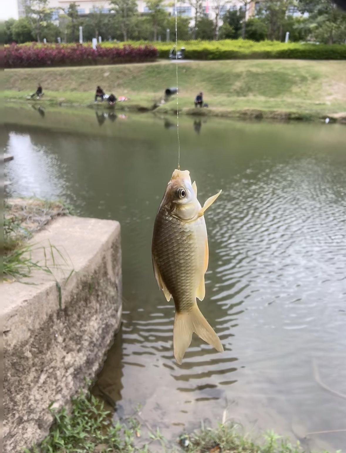 很多人低估了1200块钱退休金的威力，终于听到两个00后聊天，“1200块退休