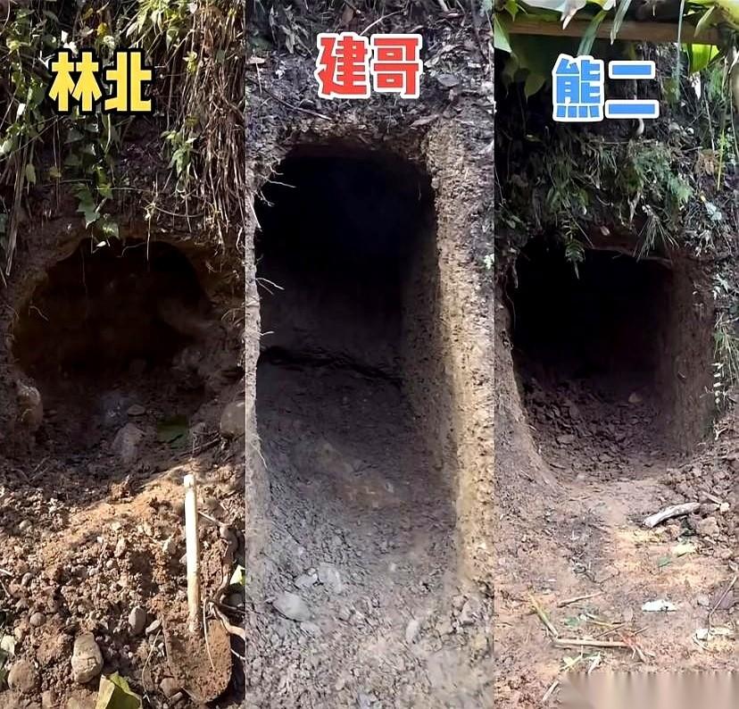 看到林北挖出那块又大又圆的石头时，我就知道，这次悬了。真的，冠军的归属，有时候