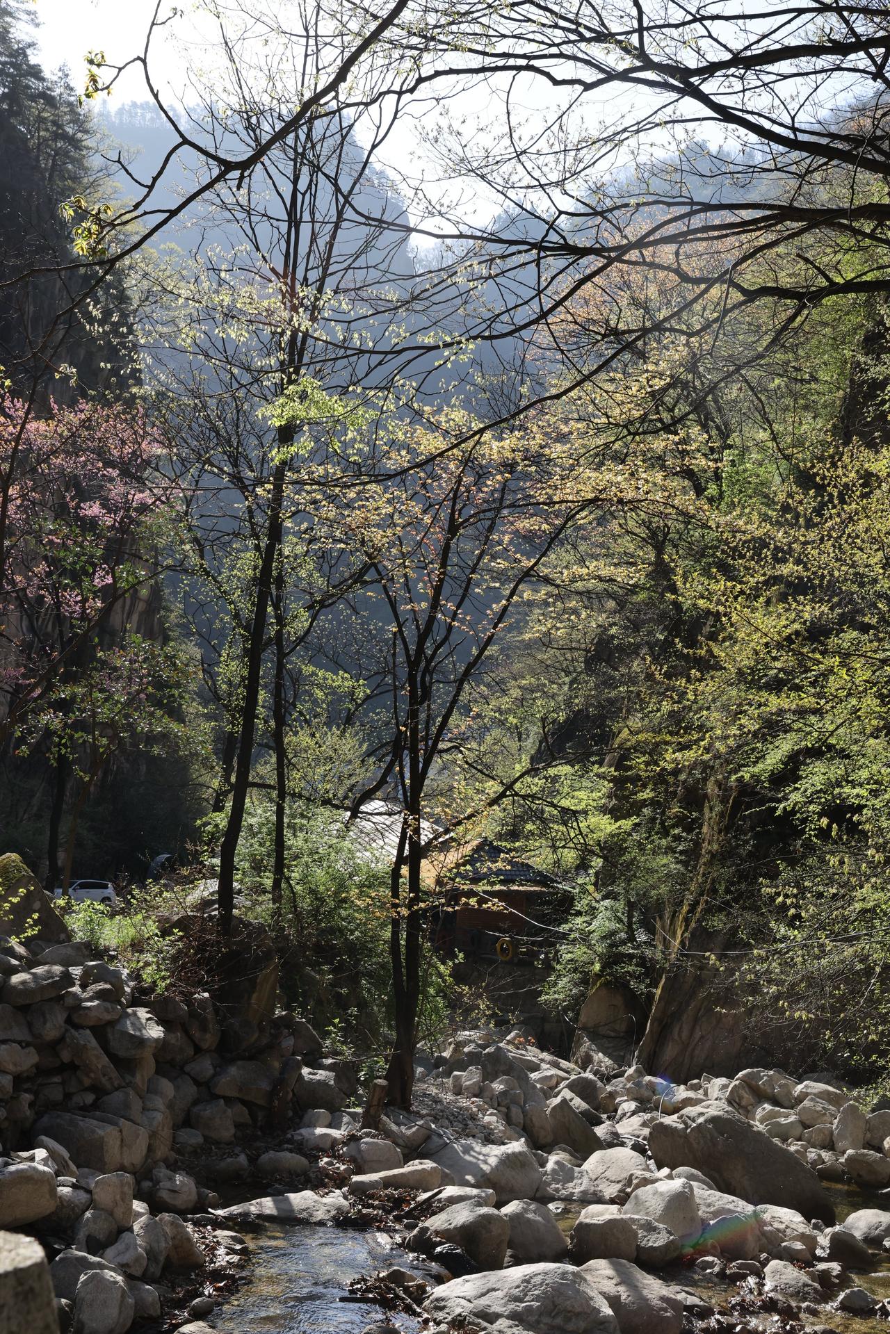 分享一张美丽的风景照片