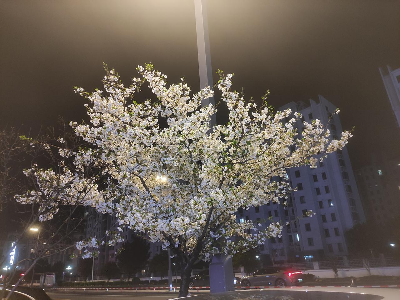 紫微斗数四化-化科化科主功名，名声，贵人，平顺，平静，温和，也代表有情，重感