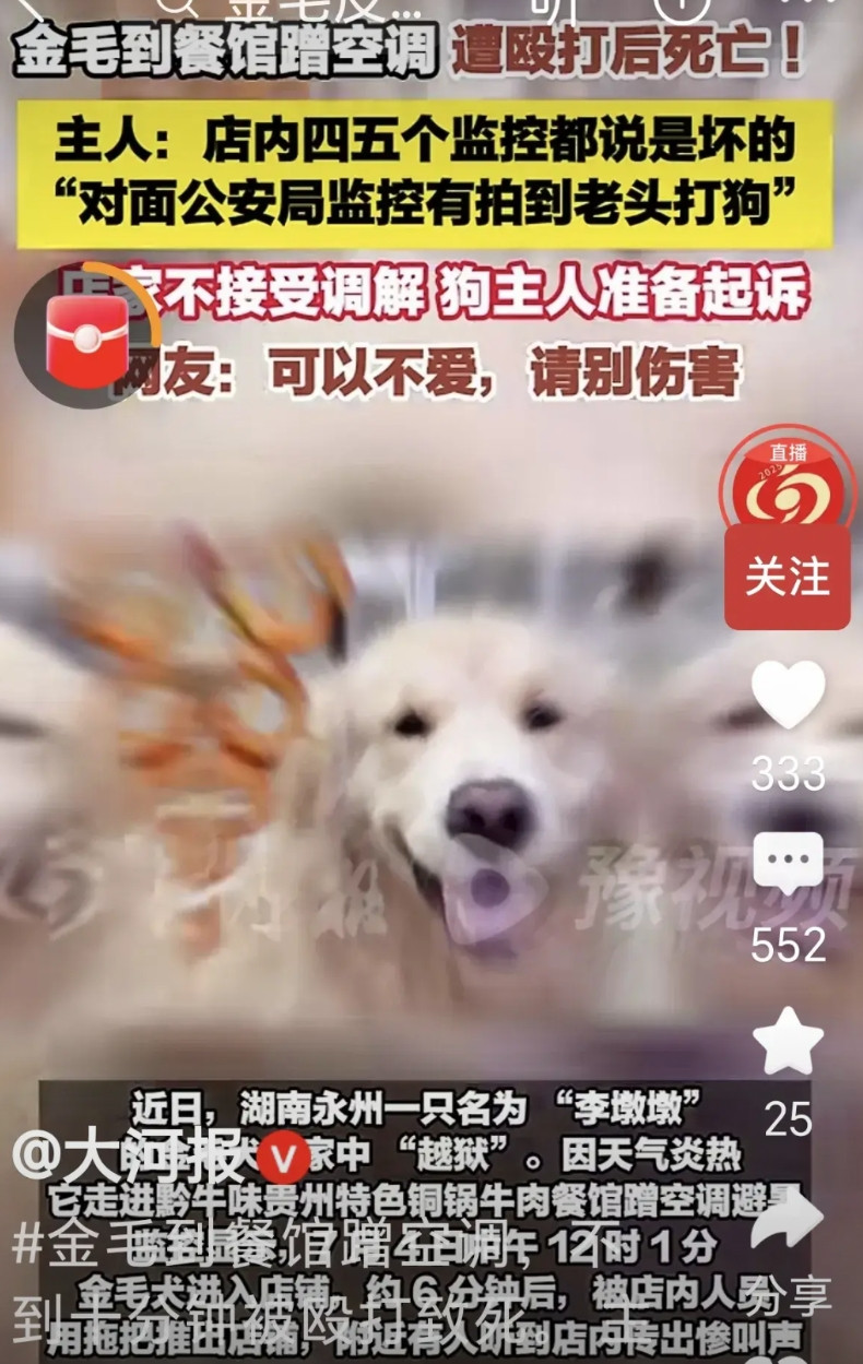 一只没有主人看管的狗进店里蹭空调，店家也有可能判断是流浪狗，店主人怕狗吓到或咬伤