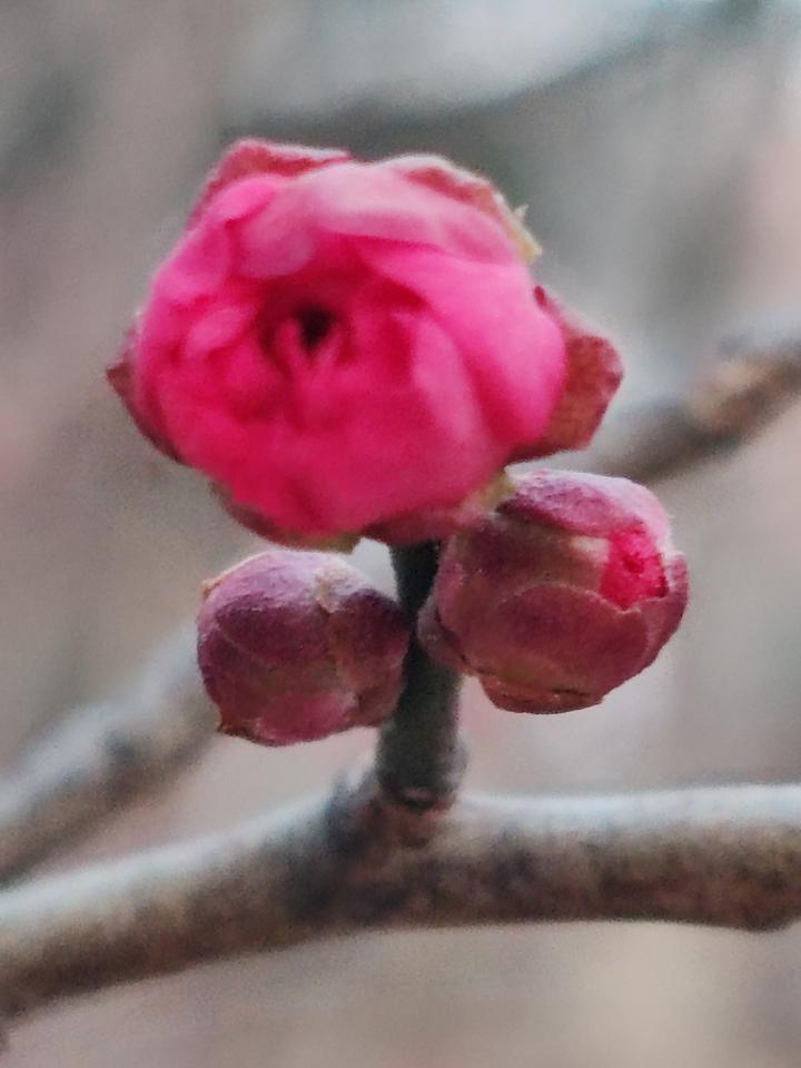 人生总有诸多感慨，亦不乏无奈。世事变幻莫测，谁也无法预知生命的尽头何时会降临。不