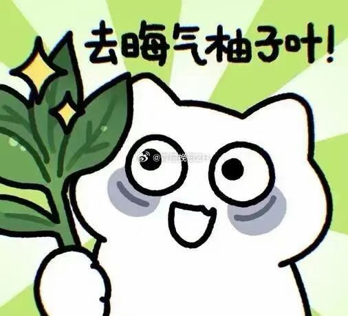 跟什么样的领导，真的不一样